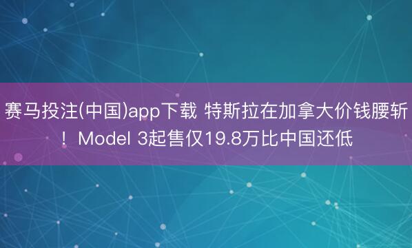 赛马投注(中国)app下载 特斯拉在加拿大价钱腰斩！Model 3起售仅19.8万比中国还低