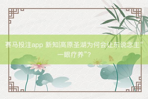 赛马投注app 新知|高原圣湖为何会让东说念主“一眼疗养”?