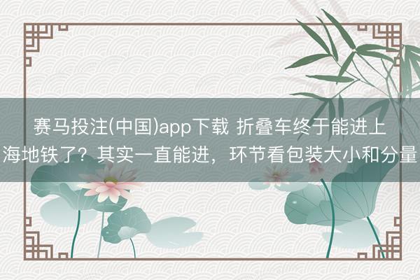 赛马投注(中国)app下载 折叠车终于能进上海地铁了？其实一直能进，环节看包装大小和分量