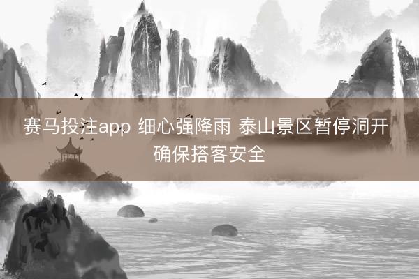 赛马投注app 细心强降雨 泰山景区暂停洞开 确保搭客安全
