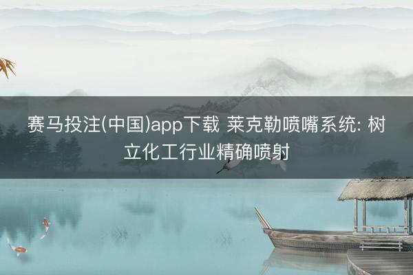 赛马投注(中国)app下载 莱克勒喷嘴系统: 树立化工行业精确喷射