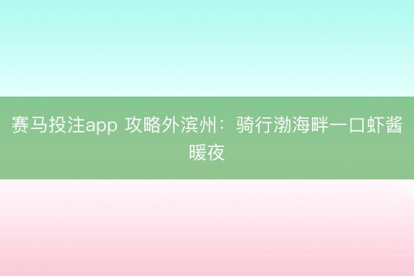 赛马投注app 攻略外滨州：骑行渤海畔一口虾酱暖夜