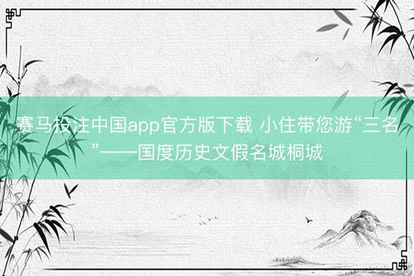 赛马投注中国app官方版下载 小住带您游“三名”——国度历史文假名城桐城