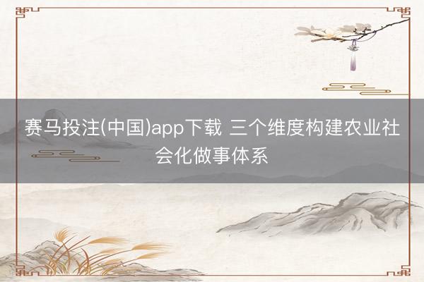 赛马投注(中国)app下载 三个维度构建农业社会化做事体系