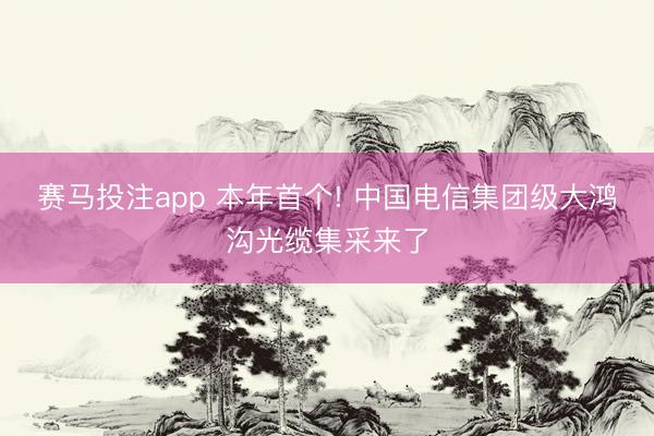 赛马投注app 本年首个! 中国电信集团级大鸿沟光缆集采来了