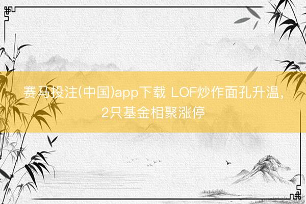 赛马投注(中国)app下载 LOF炒作面孔升温，2只基金相聚涨停
