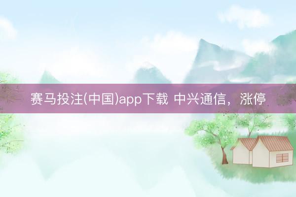 赛马投注(中国)app下载 中兴通信，涨停
