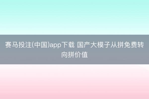 赛马投注(中国)app下载 国产大模子从拼免费转向拼价值
