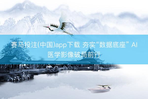 赛马投注(中国)app下载 夯实“数据底座” AI医学影像破局前行