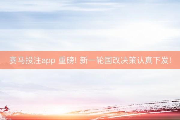 赛马投注app 重磅! 新一轮国改决策认真下发!