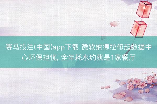 赛马投注(中国)app下载 微软纳德拉修起数据中心环保担忧， 全年耗水约就是1家餐厅