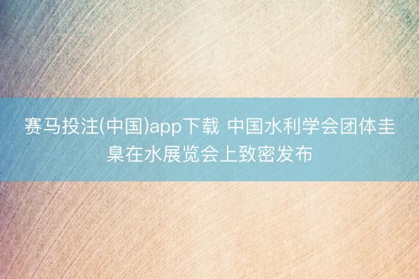 赛马投注(中国)app下载 中国水利学会团体圭臬在水展览会上致密发布