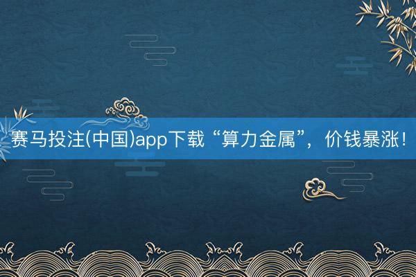 赛马投注(中国)app下载 “算力金属”，价钱暴涨！