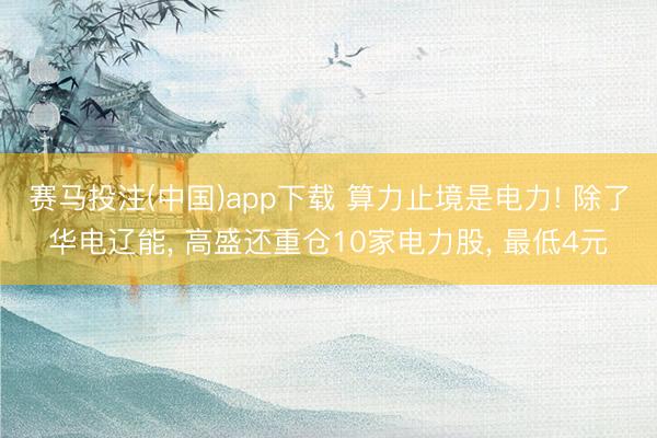赛马投注(中国)app下载 算力止境是电力! 除了华电辽能， 高盛还重仓10家电力股， 最低4元