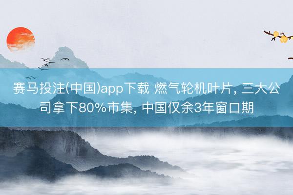 赛马投注(中国)app下载 燃气轮机叶片， 三大公司拿下80%市集， 中国仅余3年窗口期
