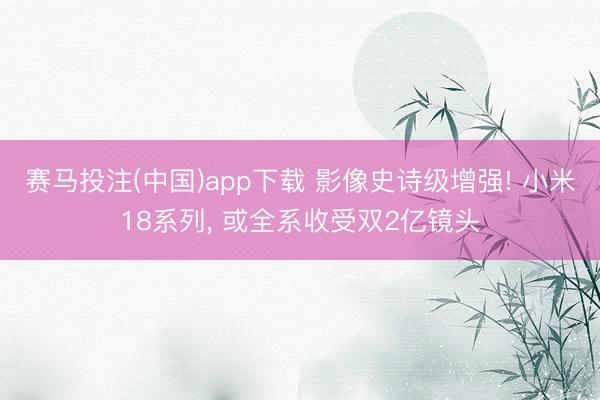 赛马投注(中国)app下载 影像史诗级增强! 小米18系列, 或全系收受双2亿镜头