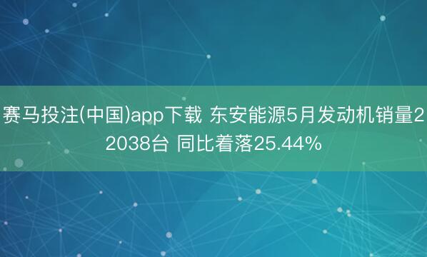 赛马投注(中国)app下载 东安能源5月发动机销量22038台 同比着落25.44%