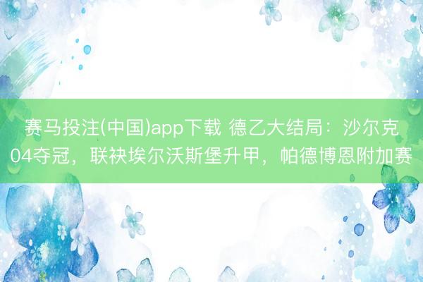 赛马投注(中国)app下载 德乙大结局：沙尔克04夺冠，联袂埃尔沃斯堡升甲，帕德博恩附加赛