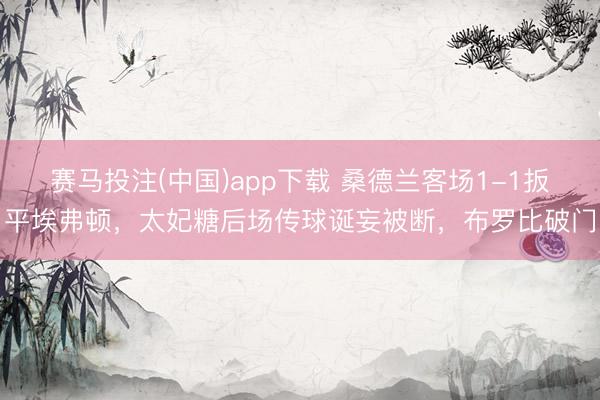 赛马投注(中国)app下载 桑德兰客场1-1扳平埃弗顿，太妃糖后场传球诞妄被断，布罗比破门