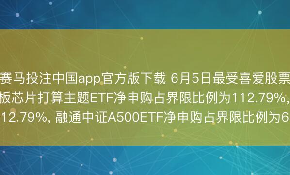 赛马投注中国app官方版下载 6月5日最受喜爱股票ETF: 广发上证科创板芯片打算主题ETF净申购占界限比例为112.79%， 融通中证A500ETF净申购占界限比例为65.88%(名单)