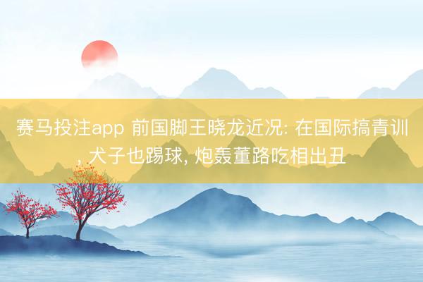 赛马投注app 前国脚王晓龙近况: 在国际搞青训， 犬子也踢球， 炮轰董路吃相出丑