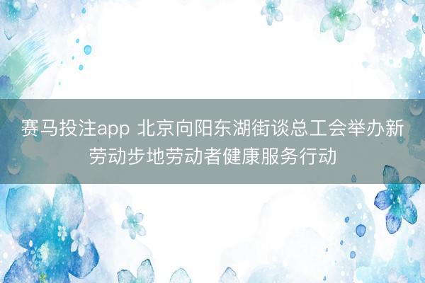 赛马投注app 北京向阳东湖街谈总工会举办新劳动步地劳动者健康服务行动