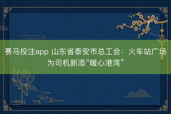 赛马投注app 山东省泰安市总工会：火车站广场为司机新添“暖心港湾”