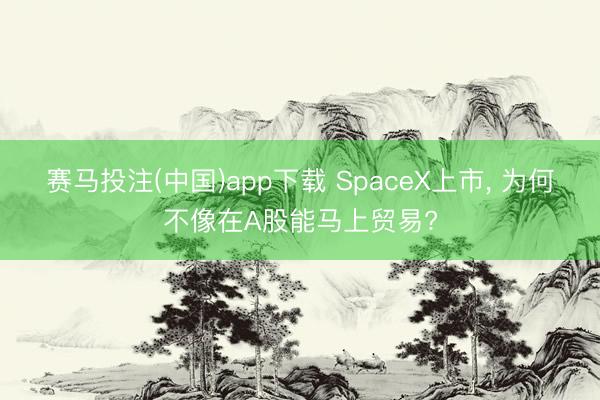 赛马投注(中国)app下载 SpaceX上市， 为何不像在A股能马上贸易?